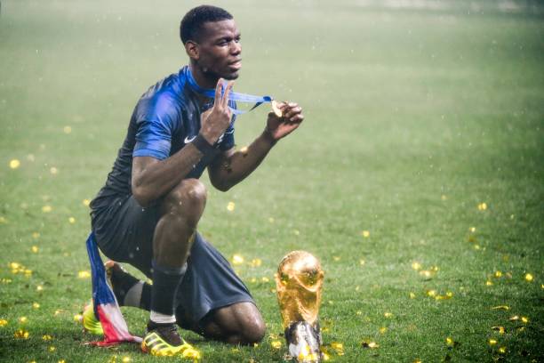 这无疑为他 这无疑为他