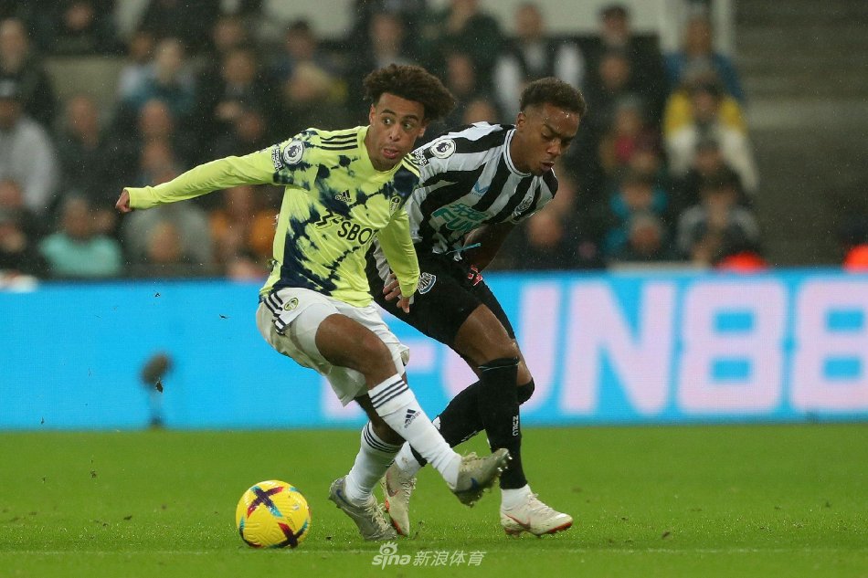 此次比赛不 此次比赛不