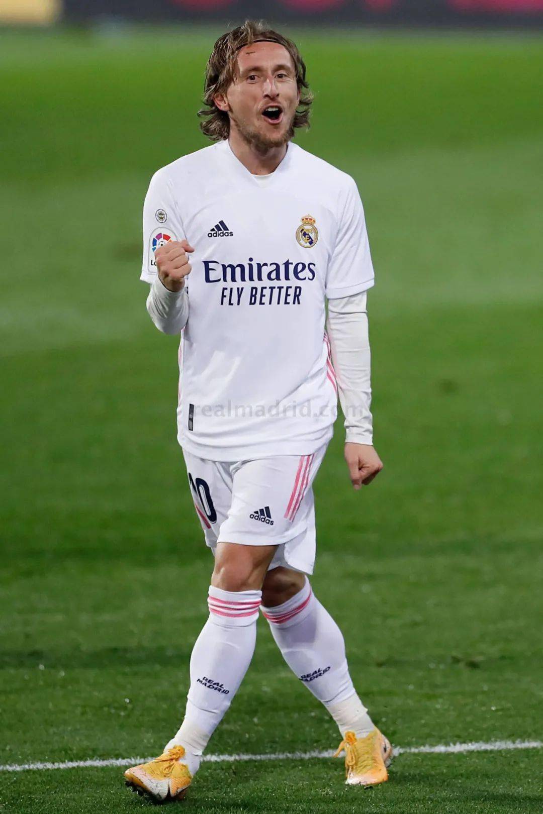 队员们逐渐 队员们逐渐